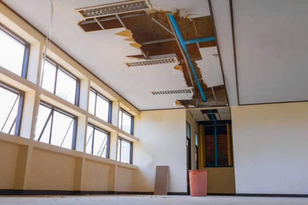 Best Water damage restoration cost  in Sheridan, WY