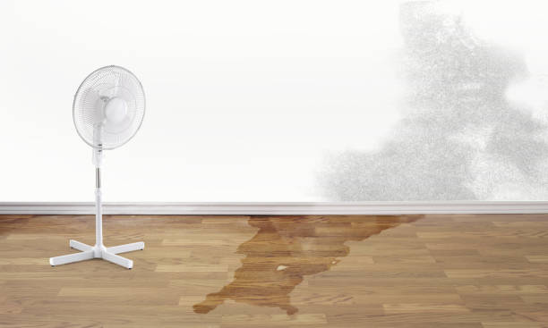 Water damage restoration process in Sheridan, WY
