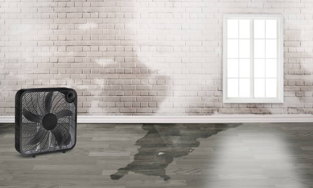 Professional Water damage restoration in Sheridan, WY