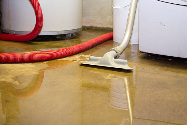 Best Professional water damage repair  in Sheridan, WY
