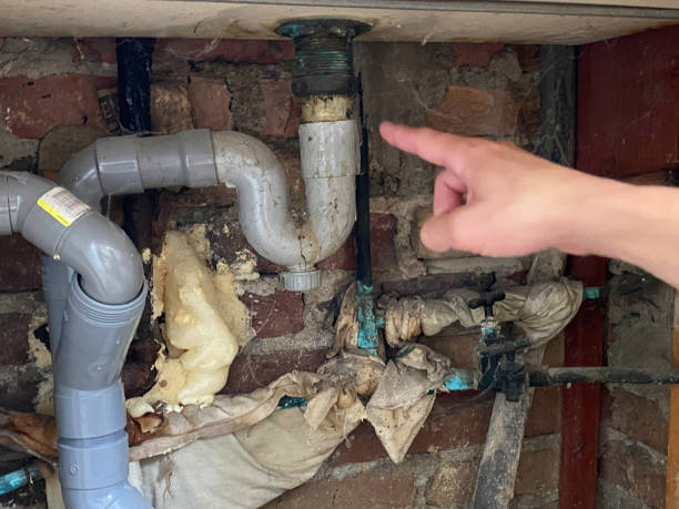 Best Flooded house restoration  in Sheridan, WY