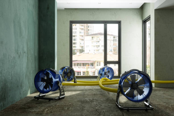 Best Water damage restoration near me  in Sheridan, WY